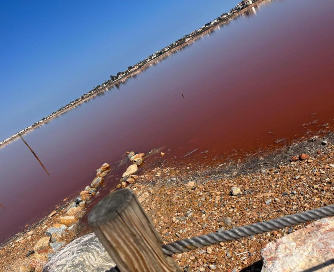 Residenz Habaneras Daire Torrevieja Dış mekan fotoğraf