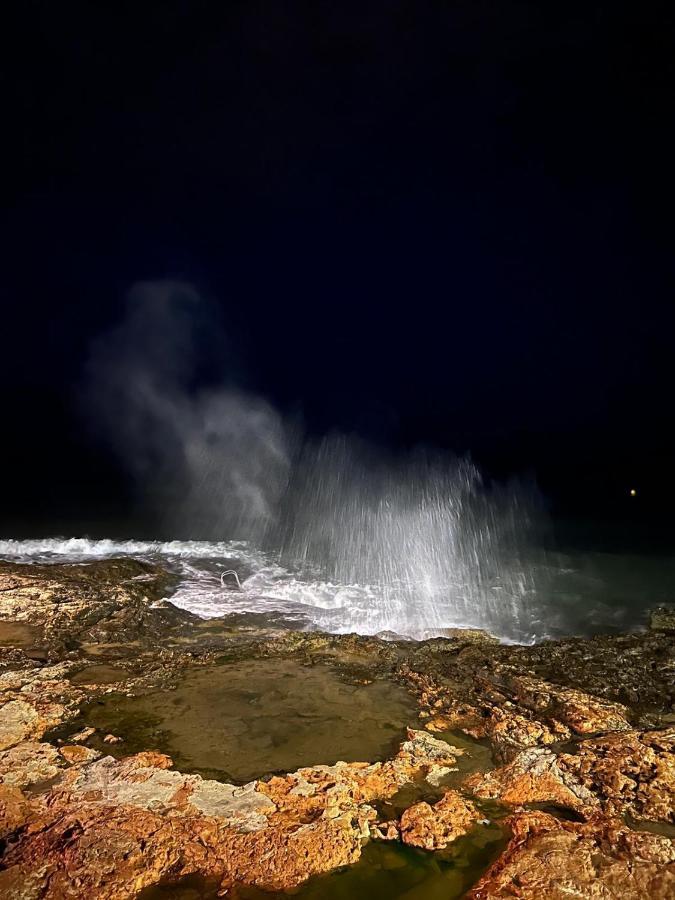 Residenz Habaneras Daire Torrevieja Dış mekan fotoğraf