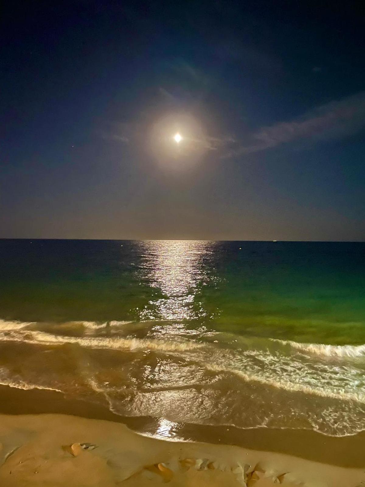 Residenz Habaneras Daire Torrevieja Dış mekan fotoğraf