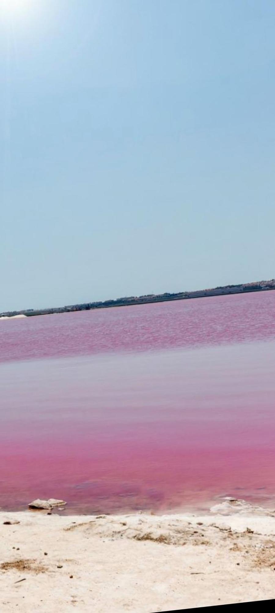 Residenz Habaneras Daire Torrevieja Dış mekan fotoğraf